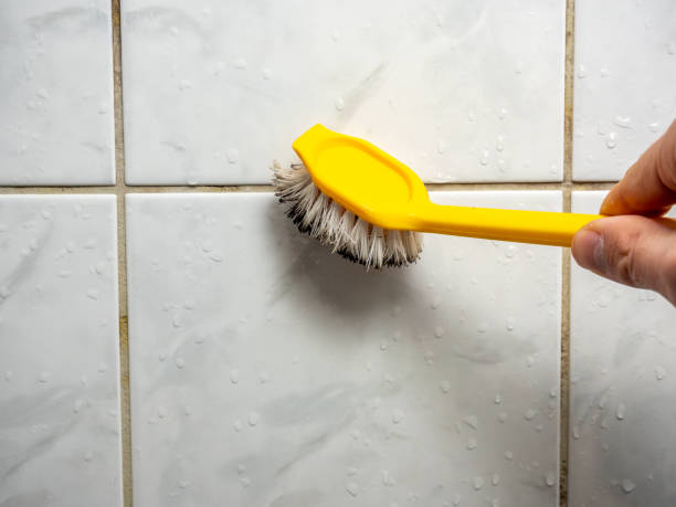 Best Mold Damage Repair  in Boiling Spring Lakes, NC