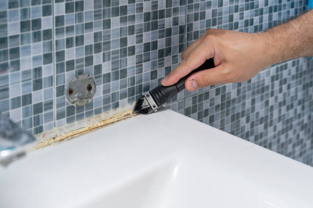 Best Mold Testing  in Boiling Spring Lakes, NC